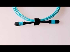 Hoge Snelheid OM3 OM4 MPO MTP Glasvezel Patchkabel